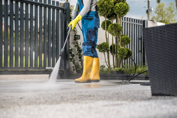 Best Pressure Washing Company Near Me  in Gorevle, IL