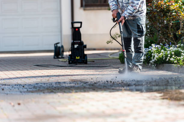 Best Affordable Power Washing  in Gorevle, IL