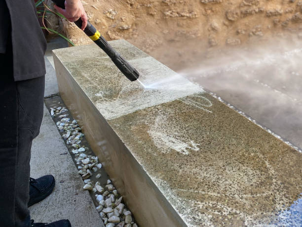 Best Deck Pressure Washing  in Gorevle, IL