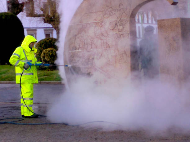 Best Pressure Washing Patio  in Gorevle, IL